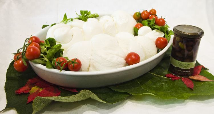 Freschi, Latticini e Ricotte