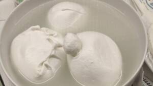 Freschi_Latticini-Bufala