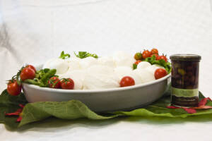 Freschi_Latticini-Mozzarelle