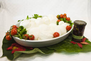 Freschi_Latticini-Mozzarelle_2