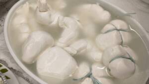 Freschi_Latticini-Mozzarelle_3